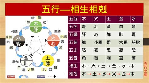 木剋金|五行相剋是什麼？五行平衡與補救秘訣完整教學 